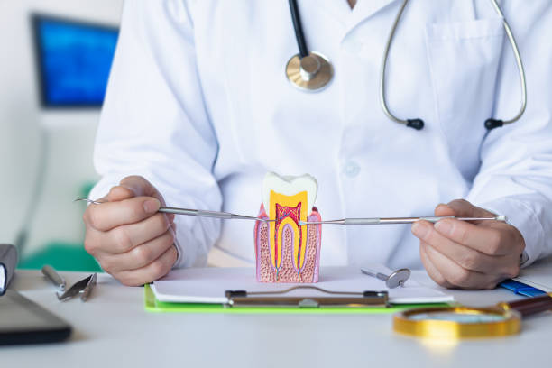 Best Emergency Treatment for Dental Infections or Abscesses in Hernando, FL